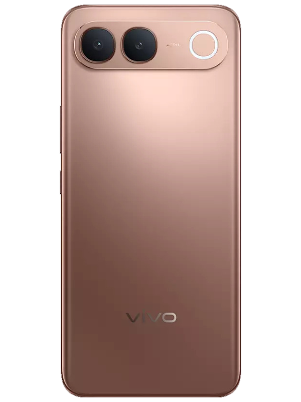 Vivo S2