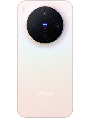 Vivo X300