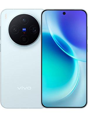 Vivo X300