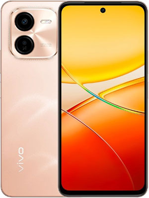 Vivo Y200 Plus